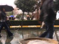 أمطار خفيفة أمطار خفيفة